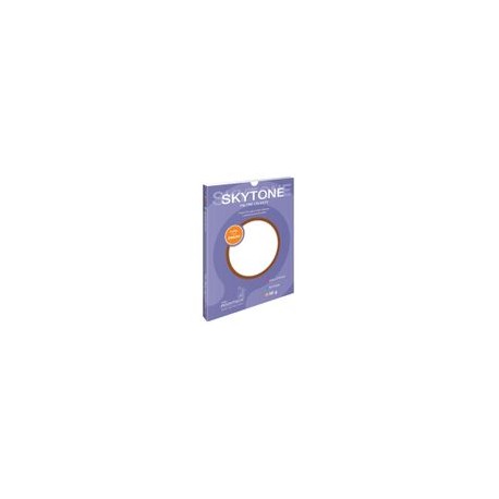 PAPEL SKYTONE PELTRE TAMANO CARTA 60HJS 90GRS - Envío Gratuito