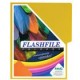 Folder flashfile neón carta Limón c/10 - Envío Gratuito