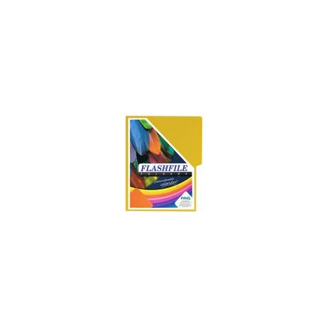 Folder flashfile neón carta Limón c/10 - Envío Gratuito