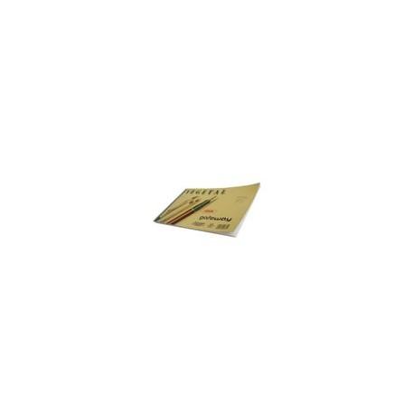 BLOCK PAPEL VEGETAL TIPO ALBANENE, OFICIO 25 HJS, 95 G/M2 - Envío Gratuito