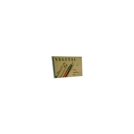 BLOCK PAPEL VEGETAL TIPO ALBANENE, CARTA 25 HJS, 55 G/M2 - Envío Gratuito
