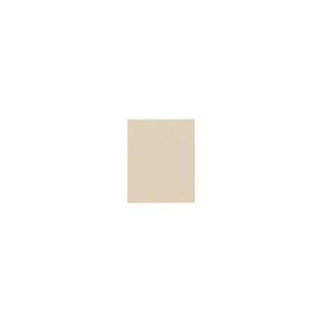FOAMI CARTA CAMELLO 4 PZAS - Envío Gratuito
