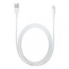 Cable Apple Lightning 1Mt MD818ZM/A