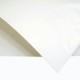PAPEL FABRIANO CARTULINA 160GRS 50 X 70CM 2 PZAS - Envío Gratuito