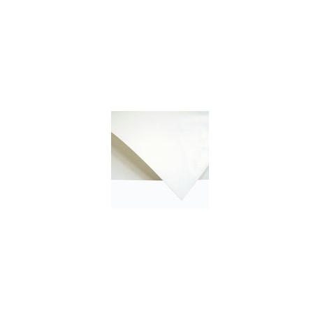 PAPEL FABRIANO CARTULINA 160GRS 50 X 70CM 2 PZAS - Envío Gratuito