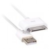 Cable USB iLynk Version 5