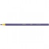 Colores Evolution Circus 12pzs y 2 Lapices Gratis